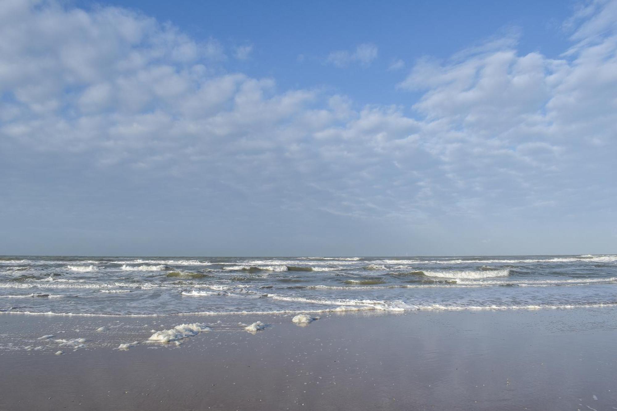 Strandhuisjes Zoomers Aan Zee Castricum Bagian luar foto